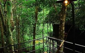 Ranches Jungle Beats Resorts